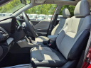 2024 Subaru Forester Limited at Beechmont Subaru