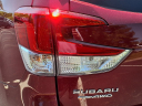 Thumbnail image of 2024 Subaru Forester at Beechmont Subaru