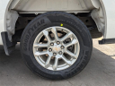 Thumbnail image of 2023 Chevrolet Silverado 1500 at Arrigo Chrysler Dodge Jeep Ram at Sawgrass