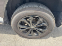 Thumbnail image of 2023 Toyota RAV4 Hybrid at Toyota of Hollywood