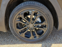 Thumbnail image of 2021 GMC Terrain at Frank Brown Honda GMC