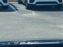 Thumbnail image of 2022 Mazda CX-5 at Jenkins Mazda [New]