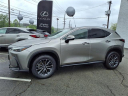 Thumbnail image of 2022 Lexus NX 350 at Tri-County Lexus