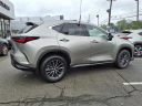 Thumbnail image of 2022 Lexus NX 350 at Tri-County Lexus