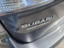 Thumbnail image of 2024 Subaru Forester at Lexus of Pembroke Pines