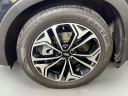 Thumbnail image of 2020 Hyundai SANTA FE at Toyota of Tampa Bay NEW