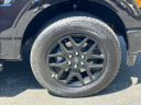 Thumbnail image of 2024 Ford F-150 at Levittown Ford