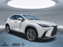 Thumbnail image of 2022 Lexus NX 350 at Hilton Head Lexus