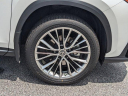 Thumbnail image of 2022 Lexus NX 350 at Hilton Head Lexus