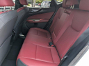 Thumbnail image of 2022 Lexus NX 350 at Hilton Head Lexus
