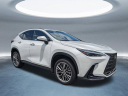Thumbnail image of 2022 Lexus NX 350 at Hilton Head Lexus