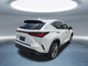 Thumbnail image of 2022 Lexus NX 350 at Hilton Head Lexus