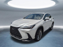 Thumbnail image of 2022 Lexus NX 350 at Hilton Head Lexus