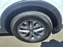 Thumbnail image of 2024 Kia Telluride at Allstar Kia San Bernardino