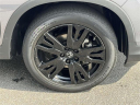 Thumbnail image of 2022 Honda Pilot at Mariano Rivera Honda