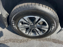 Thumbnail image of 2022 Chevrolet Colorado at Toyota Of North Charleston Used