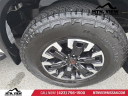 Thumbnail image of 2023 Nissan Frontier at Mtn. View Nissan Inc