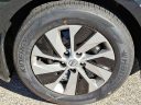 Thumbnail image of 2025 Nissan Altima at Faulkner Nissan of Jenkintown - Used