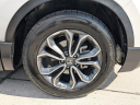 Thumbnail image of 2021 Honda CR-V at TamiamiFord of North Naples, FL