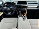 Thumbnail image of 2022 Lexus RX 350 at Lexus of Freeport