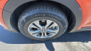 Thumbnail image of 2019 Ford F-150 at Dick Campagni's Capital Ford