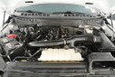 Thumbnail image of 2024 Ford F-150 at Bluebonnet Motors Ford Lincoln Mercury