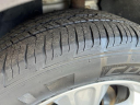 Thumbnail image of 2015 Ford Escape at Golling Chrysler Dodge Jeep Ram