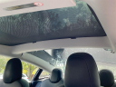 Thumbnail image of 2019 Tesla Model 3 at AutoTrust USA
