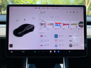 Thumbnail image of 2019 Tesla Model 3 at AutoTrust USA
