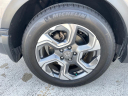 Thumbnail image of 2019 Honda CR-V at Honda Of The Avenues