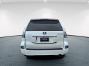 Thumbnail image of 2023 Lexus GX 460 at Ray Catena Lexus Freehold Nj