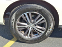 Thumbnail image of 2019 INFINITI QX60 at VideonChryslerDodgeJeep - New