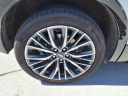 Thumbnail image of 2024 Cadillac XT4 at Ed Morse Cadillac Tampa