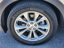 Thumbnail image of 2023 Ford Explorer at Larson Ford