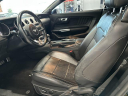 Thumbnail image of 2019 Ford Mustang at Serpentini Chevrolet of Willoughby
