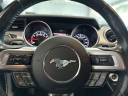 Thumbnail image of 2019 Ford Mustang at Serpentini Chevrolet of Willoughby
