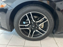 Thumbnail image of 2019 Ford Mustang at Serpentini Chevrolet of Willoughby
