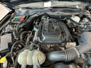 Thumbnail image of 2019 Ford Mustang at Serpentini Chevrolet of Willoughby