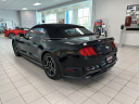 Thumbnail image of 2019 Ford Mustang at Serpentini Chevrolet of Willoughby