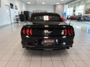 Thumbnail image of 2019 Ford Mustang at Serpentini Chevrolet of Willoughby