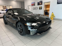 Thumbnail image of 2019 Ford Mustang at Serpentini Chevrolet of Willoughby