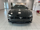Thumbnail image of 2019 Ford Mustang at Serpentini Chevrolet of Willoughby