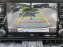 Thumbnail image of 2019 Toyota RAV4 at JenkinsVolkswagen of Leesburg, FL