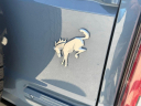 Thumbnail image of 2024 Ford Bronco at Cape Coral Chrysler Dodge Jeep Ram