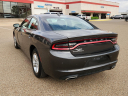 Thumbnail image of 2023 Dodge Charger at Frank Brown Honda GMC