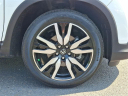 Thumbnail image of 2022 Honda Pilot at Hamilton Honda