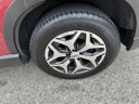 Thumbnail image of 2022 Subaru Forester at Patriot Subaru