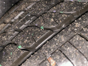 Thumbnail image of 2025 Honda Civic Hybrid at Jim Riehl's Friendly Honda