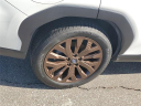 Thumbnail image of 2025 Subaru Forester at Al Serra Chrysler  Dodge Jeep Ram