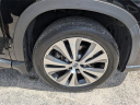 Thumbnail image of 2019 Subaru Ascent at Mike Maroone Chevrolet WPB